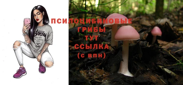прущая мука Беломорск