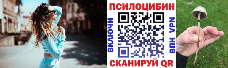 Псилоцибиновые грибы ЛСД  Луховицы 